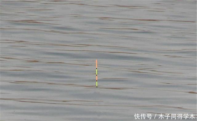 高目|野钓调漂不用纠结,可以只用这一种方法,适合各种钓场和鱼情