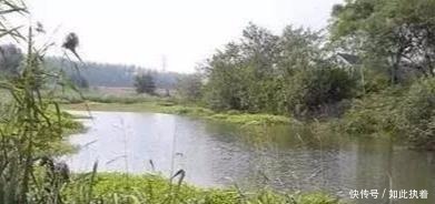 钓鱼|秋钓草边“三钓”、“三不钓”,用好了总有一次要爆护!