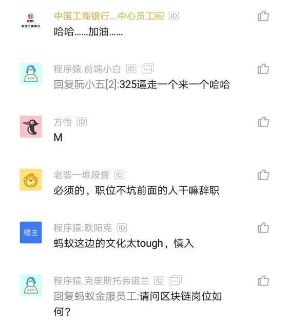 程序员|程序员跳槽阿里3个月便后悔满心欢喜而来，结果却发现是火坑