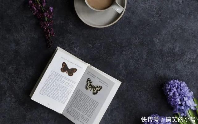 美术|如果没有美术，我们的生活会失去多少乐趣
