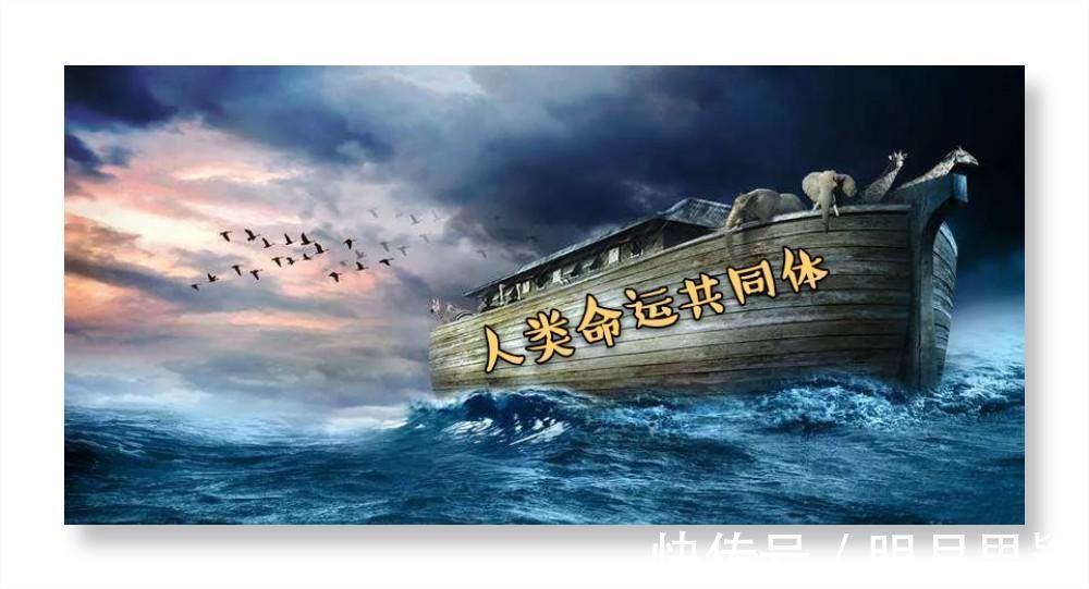 动态平衡&天敬:永恒的对立统一——再读《矛盾论》有感