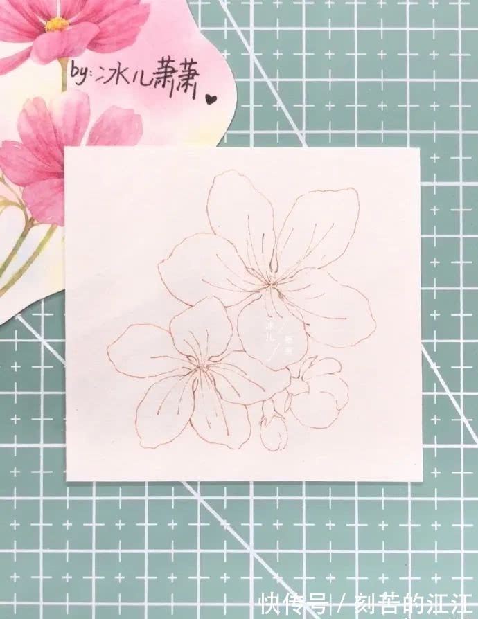 花瓣@水彩这样画，也太美了吧！居然把花瓣画出透明的感觉，看完忍不住保存！