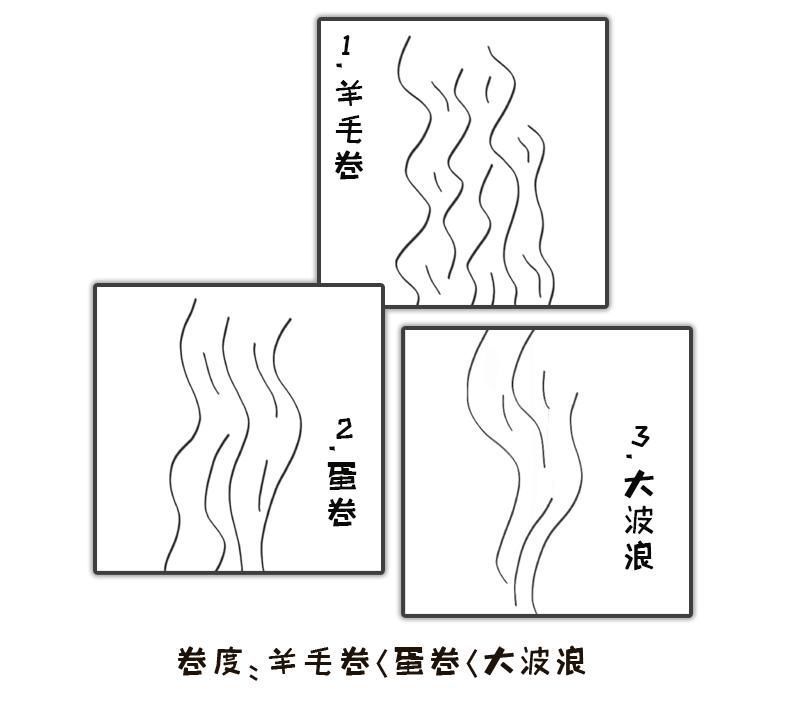 蛋卷头|一个夹板搞定三种卷发，简单易学超显脸小！