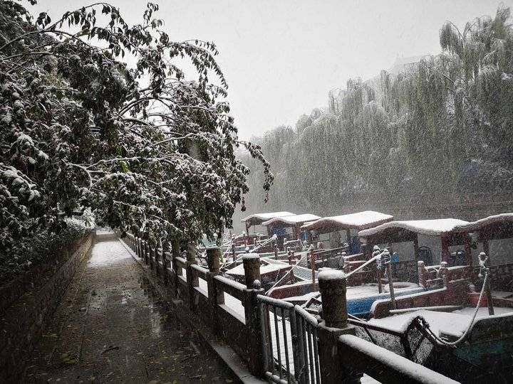 初雪|今日立冬｜泉城初雪：叶落不知秋去，雪至方知冬来