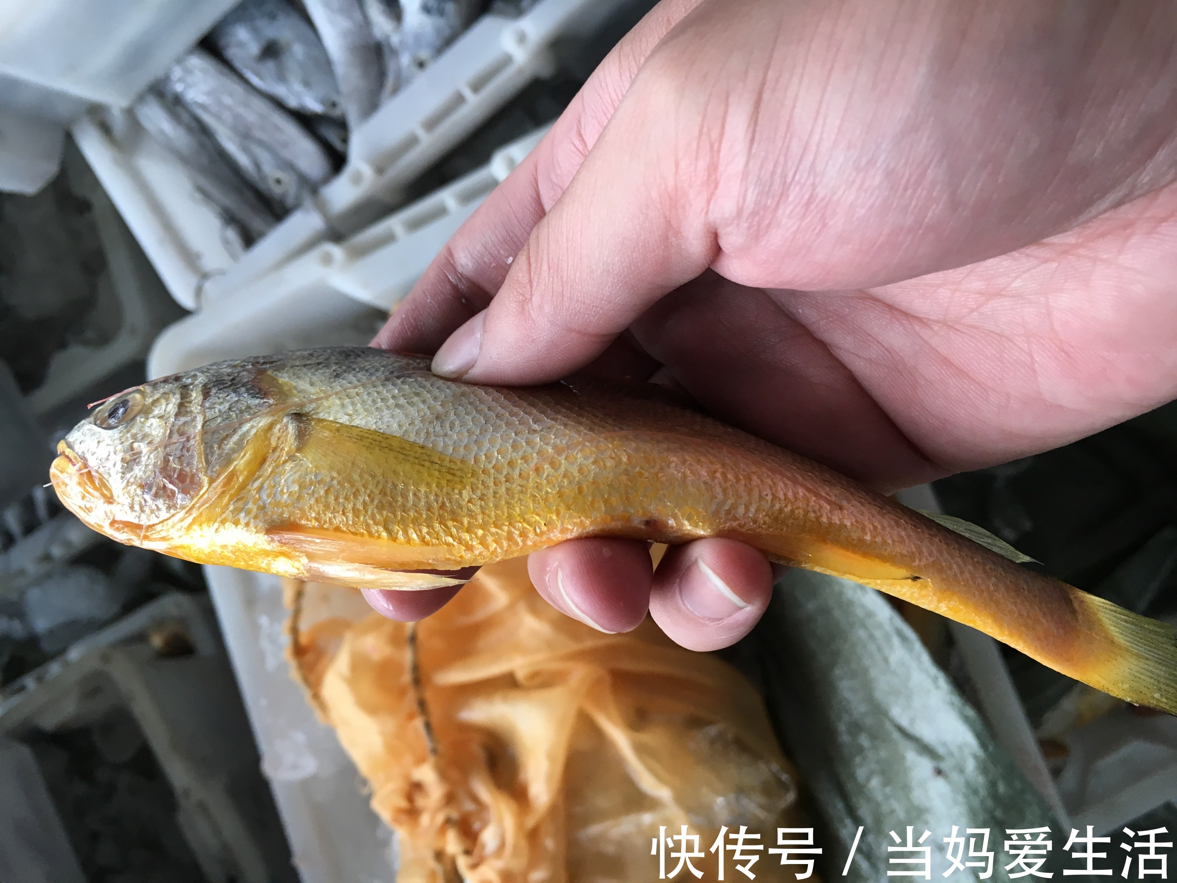 增长剂|这种食物被誉为“天然增长剂”,父母早了解,让娃“高人一等”