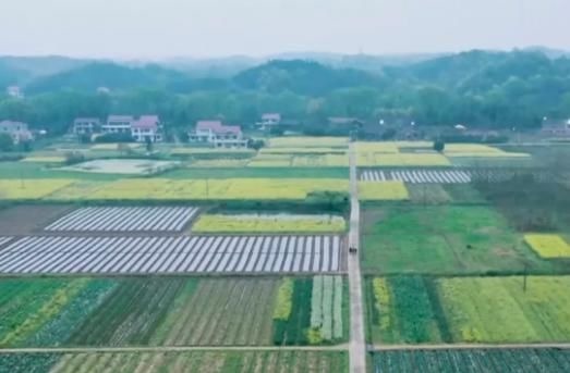 收视率第一，《向往的生活》的“清醒”打脸了多少真人秀综艺！