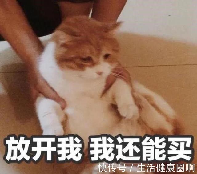连衣裙 秋冬裙子真的太好看了,这么搭气质又迷人!