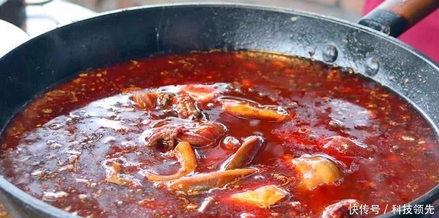 大厨教你毛血旺的地道做法,麻辣鲜香,冬天来一盆全身暖和