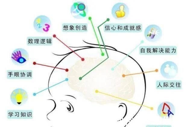 电子设备|孩子的大脑是靠“养”的,睡前记住“3要2不要”,孩子更聪明