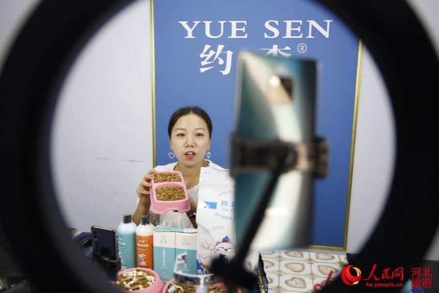电商|河北邢台：电商助力打造“中国宠物产业之都”