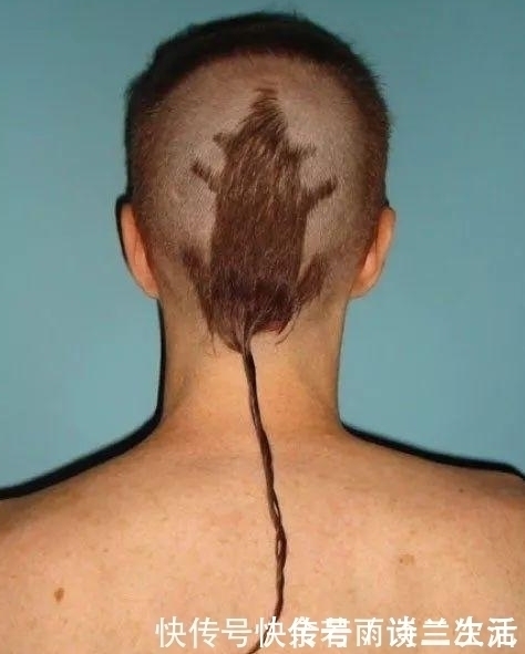 喵星人|11个笑死人的发型,看到第一张就被震惊了!发给大家乐一乐~