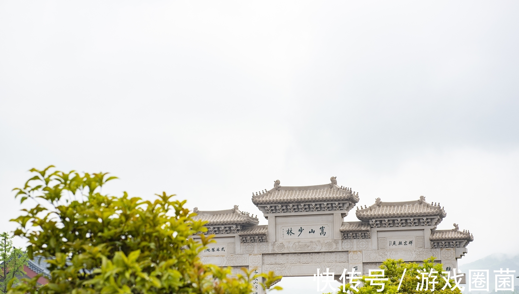 海棠$一代文宗元好问诗5首,他的诗算得上是金元时期的佳作,您认同吗