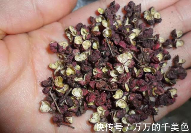 流感|秋后泡“花椒”，疾病不见了，用不了半月，3个好处不请自来