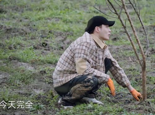 怨言|《向5》最累的嘉宾?白天种树开拖拉机毫无怨言,晚上加班做音乐