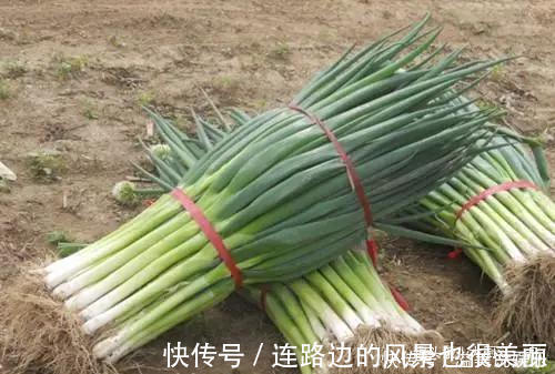 菜农|香葱买多了该如何保存菜农教你这一招，放半年香葱都不坏