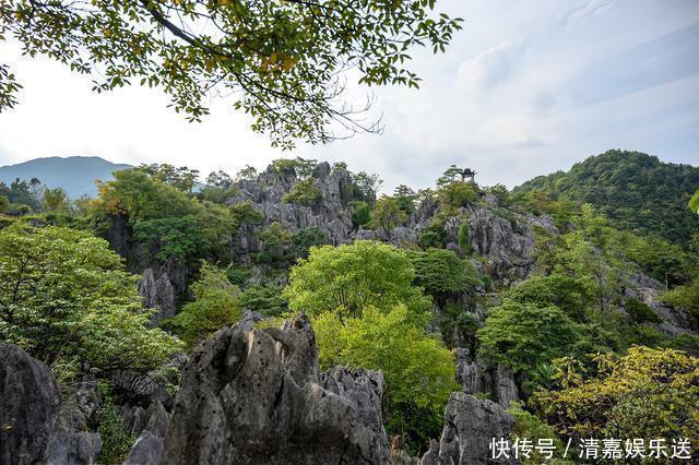 地质|“华东第一石林”千岛湖石林，江南罕见的地质奇观，壮观且秀丽