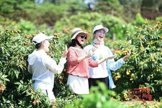 黄竹镇|重磅!寻觅古韵定安 三条精品线路让你“人在画中游”