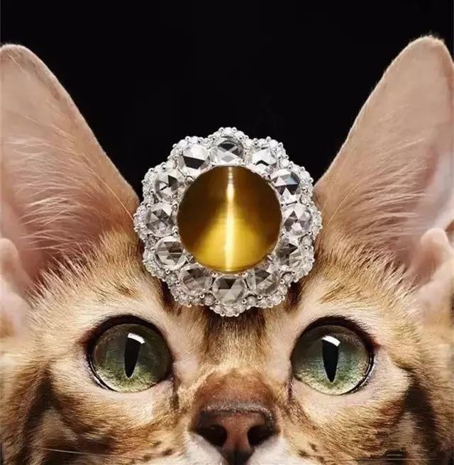 月光石 8种珠宝界特有的光学效应,又美又神奇,能认识一半都算行家啦!