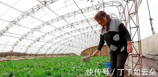 西蓝花|炒菜前记得要焯水的3种蔬菜，别嫌焯水麻烦，弄不好有害于健康！