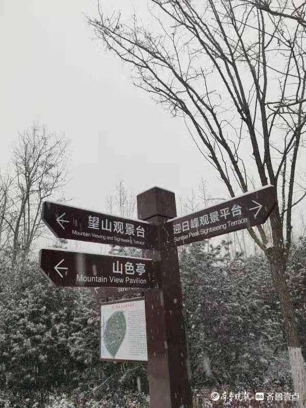 瑞雪兆|济南又下雪了，来看看卧牛山公园附近的雪景