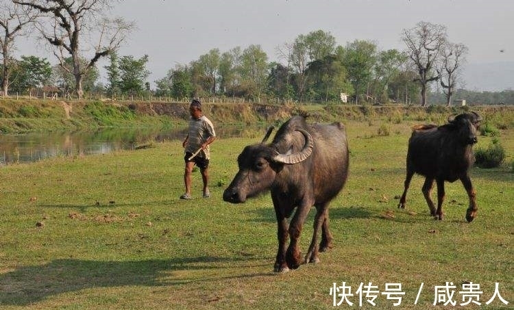 艄公#2首值得品鉴的趣味诗词,穿越千年时光,依然魅力四射