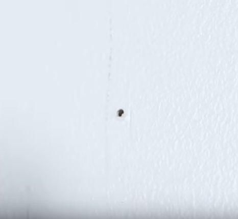 墙壁脏了不用重新粉刷,学会这几招,洁白如新~