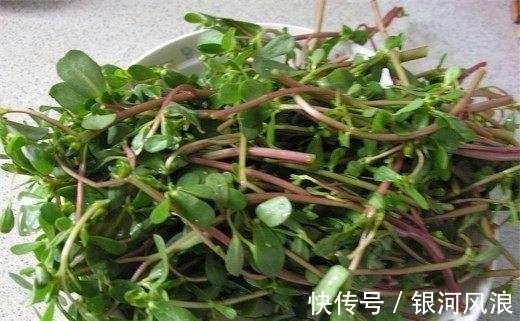 湿热|女人常吃此物,保养卵巢,子宫越来越健康,远离妇科炎症