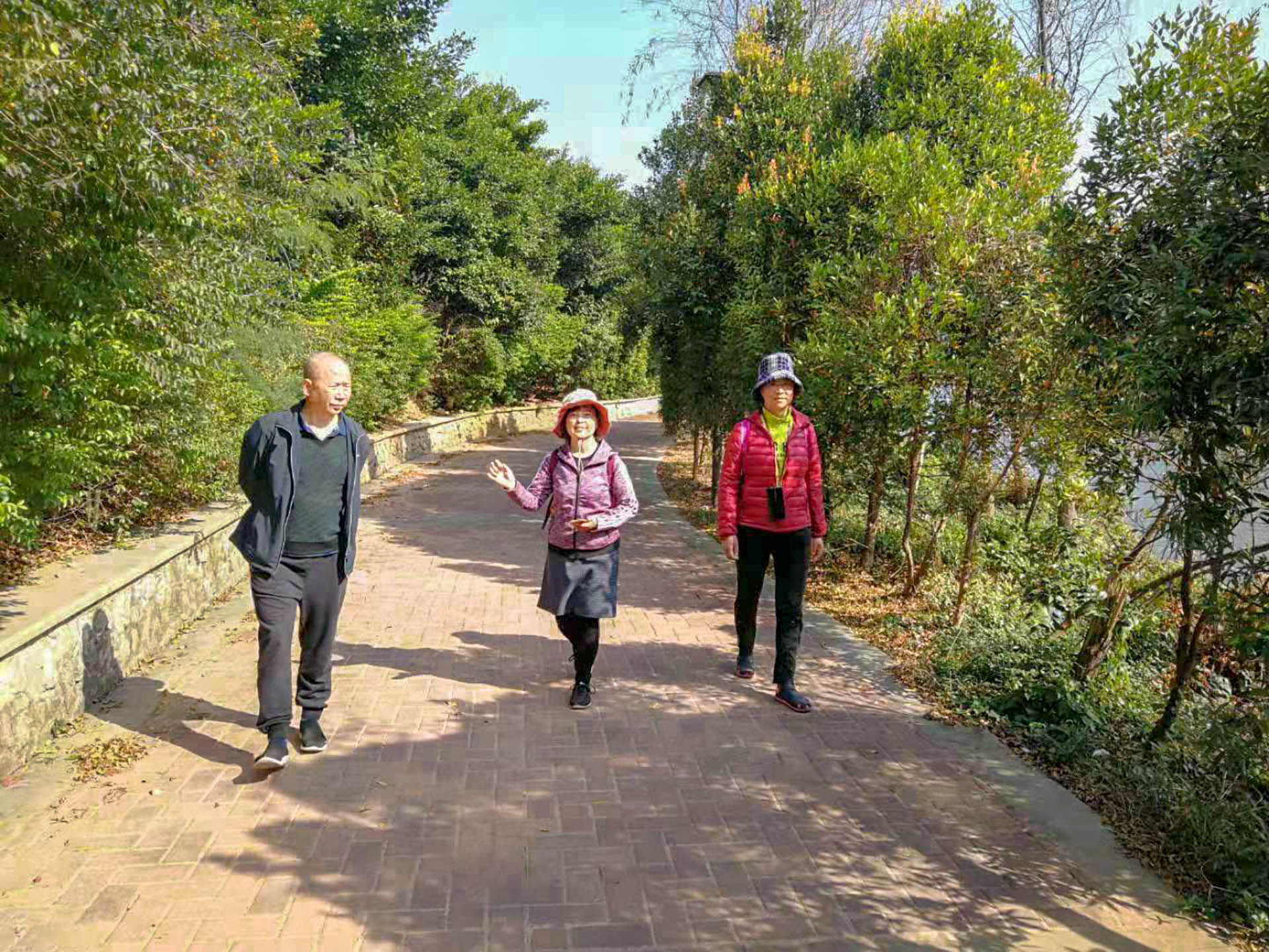 老年|温暖的旅行 自驾第十一季 休闲阳江市区 打卡名扬湖畔