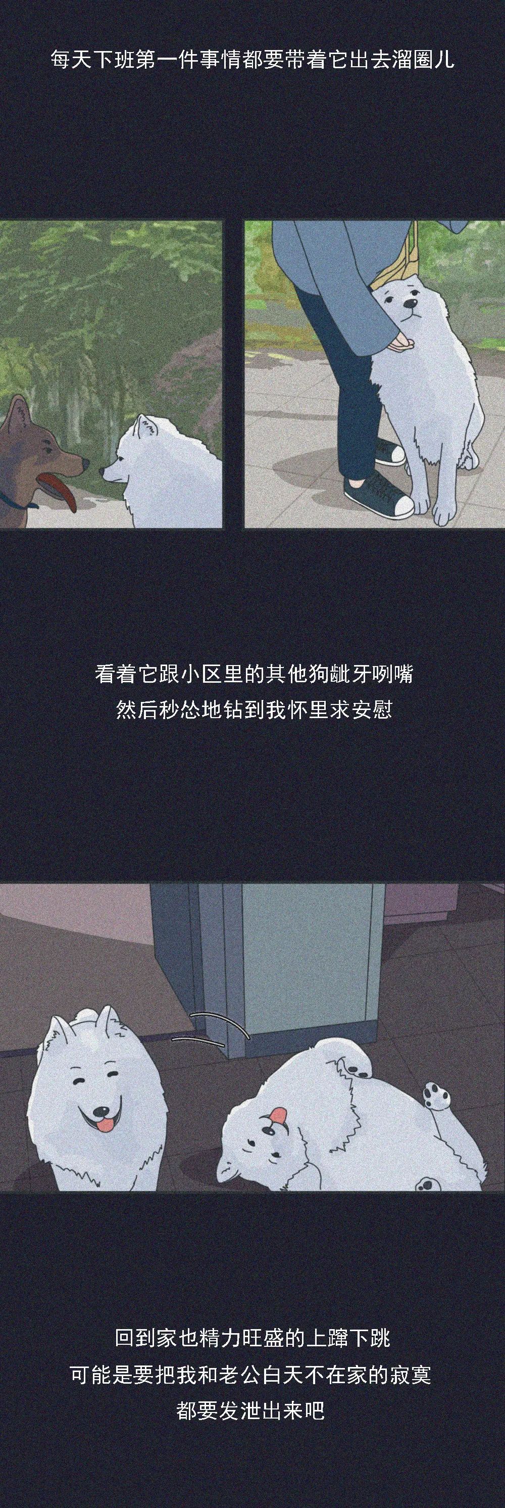 前任|猎奇漫画：凌晨1点给前任发消息：“在吗？”，结果……