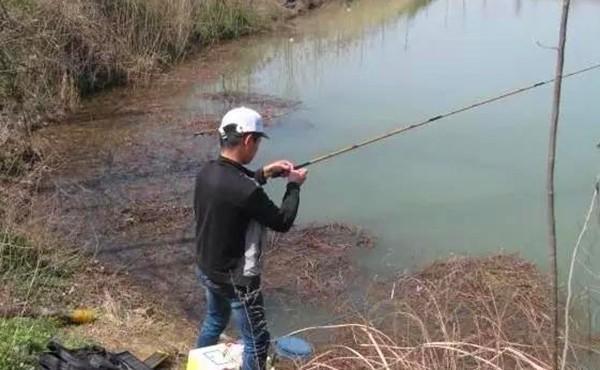 寒冬季节钓鲫鱼,遇上刮风天“很头疼”,注意换个思路找鱼窝