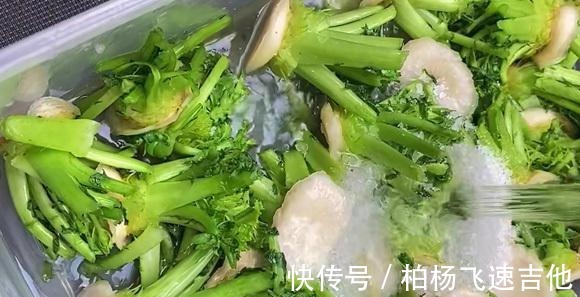 这菜全身都是“宝”，将菜头加料汁泡一晚，酸辣脆爽，别不懂吃！