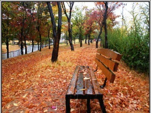 可人天#秋韵、秋思、秋雨!一品古人写给秋天的那些诗句