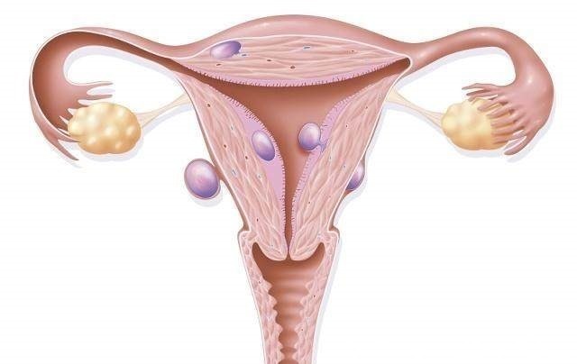 高龄产妇|不管生一胎还是二胎,怀孕尽量避开这两个年龄段!你中招了吗!