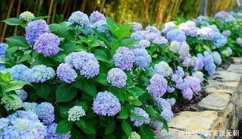 7个绝美花园,个个美炸了天,等有钱了我也要建一个