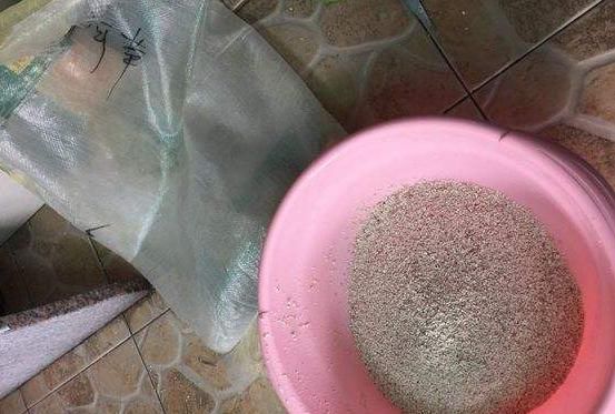 无论养什么花,只要在盆内放上“它”,不仅不积水,还会越长越好