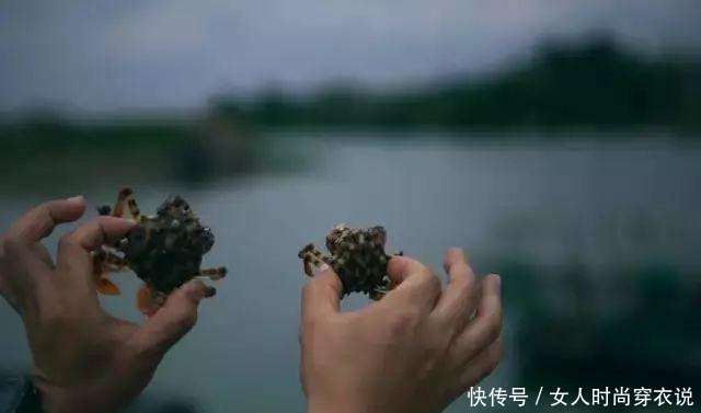 流油|央视又“曝光”了!一戳就流油的海鸭蛋,这流出的“油”哪来的