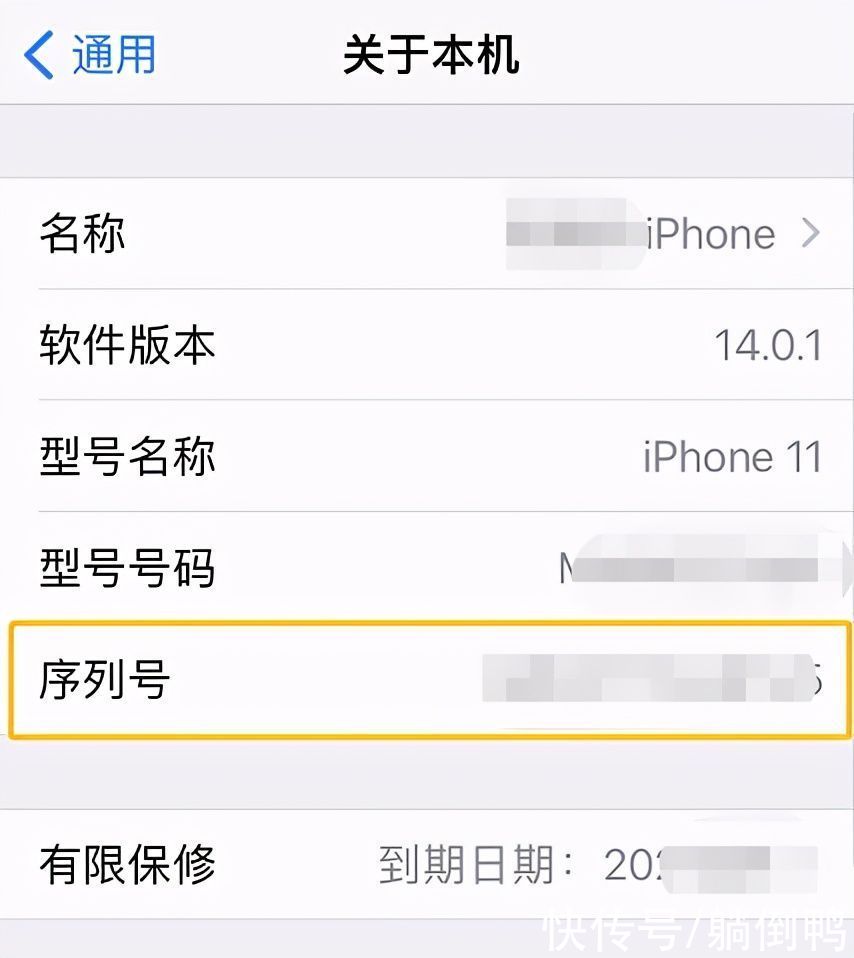 iPhone|iPhone 11屏幕出现严重问题！苹果紧急宣布：免费换屏