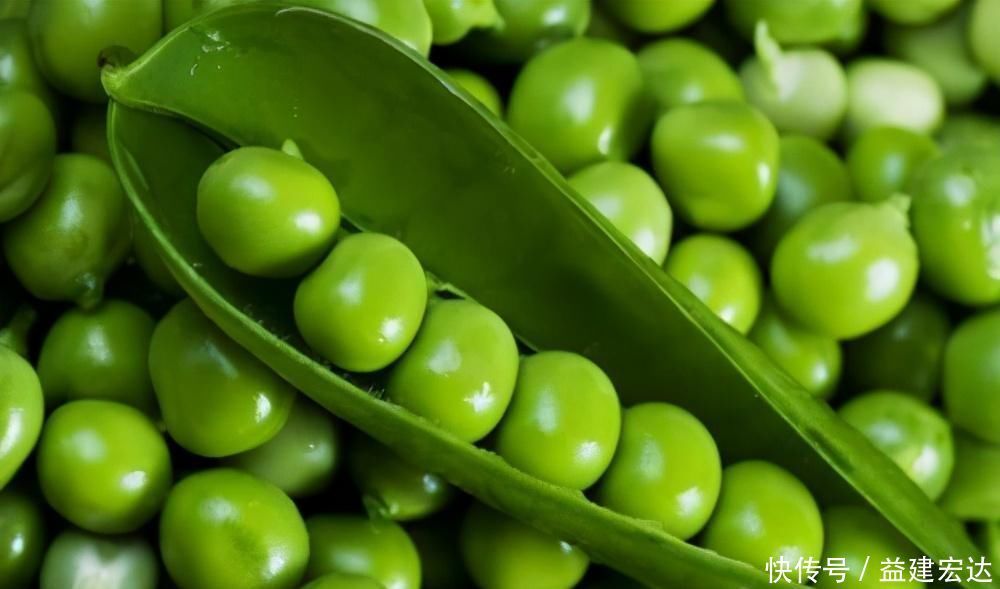 会吃的人更长寿,推荐3种食物,清热化痰,润肺止咳,爱吃就赚到