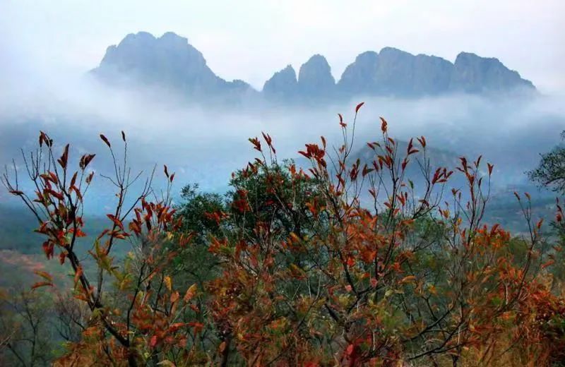 天崮山|冬风挥毫，天地作画！栖霞这座山，美得令人震撼！