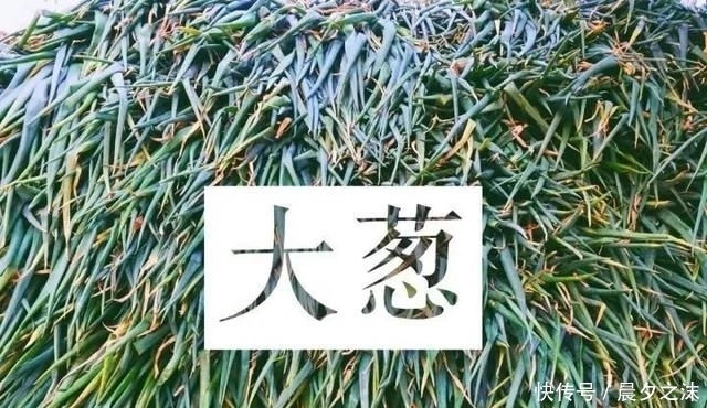 目瞪口呆|入冬了,听说东北人开始论车买菜了,南方人看得目瞪口呆