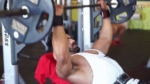 肩胛骨|3个动作锻炼上胸肌群,让你的上胸变得饱满起来