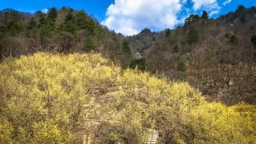 爱卡|花的海洋！西安周边这些赏花最佳地怎么能错过！最近1.5h就到