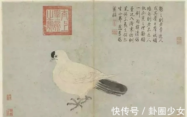 观物写生册&明代对景写生大家|沈周花鸟画《观物写生册》