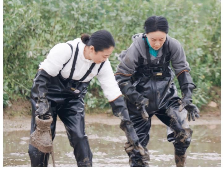 一季|《向往5》隐藏最深的嘉宾，表面跟着那英来的“小妹妹”，实际总票房86亿制片人