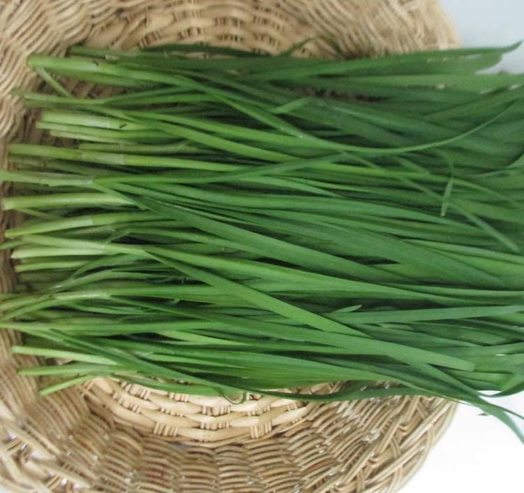 王医师|女性可常吃的以下食物,补充营养,延缓衰老,身体棒棒哒!