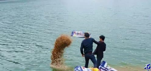 经验|钓鱼的最佳时间是什么时候多年经验的钓手告诉你