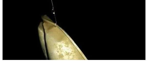 除了钓不到鱼,啥都能钓到!盘点那些年钓到过的奇葩物