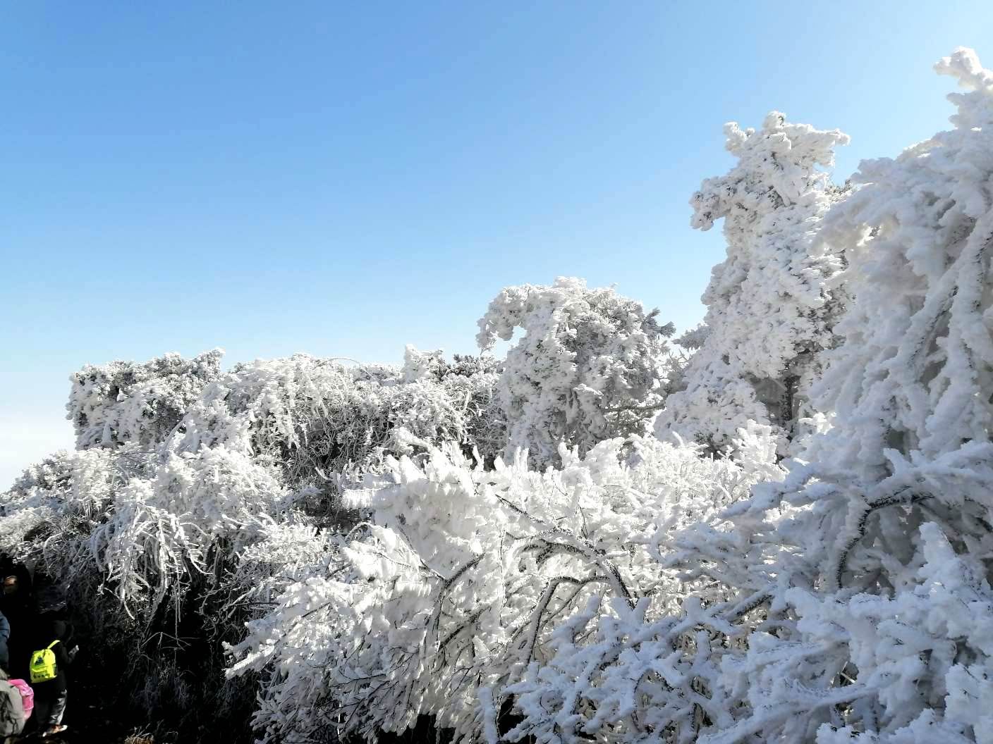 畲乡|冬日限定！畲乡敕木山雪景带你进入冰晶世界