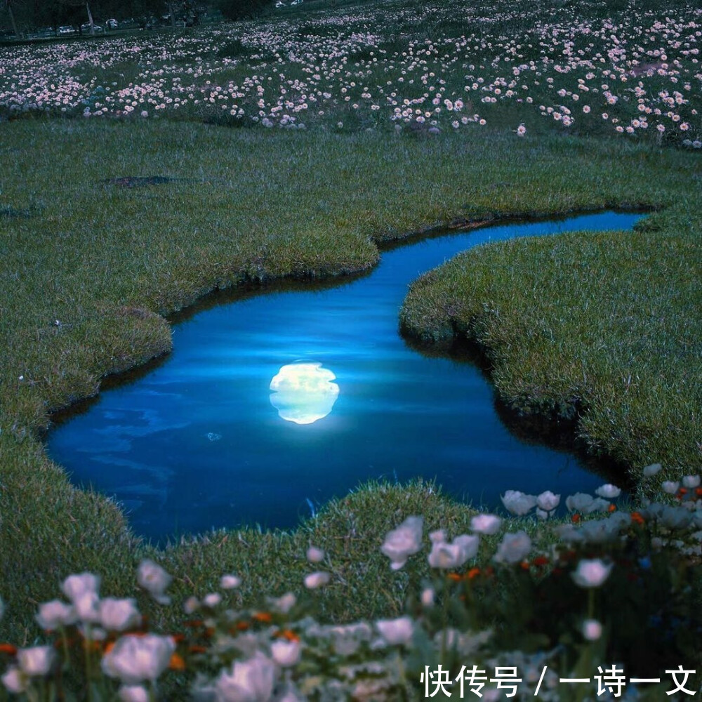 灵魂#文字是有灵性的,你邂逅的是一个与你相似的灵魂