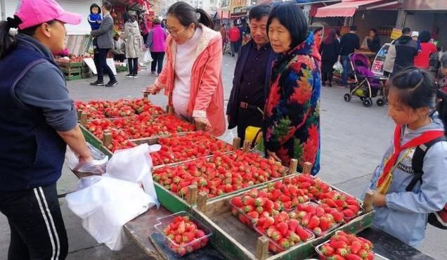 “穷就老实告诉孩子”，孩子想吃40一斤的草莓，奶奶做法引热议